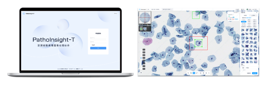 1760925841974175.png 1.png