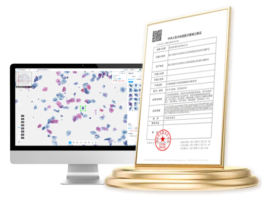 1768290569396695.png 1768290569396695.png